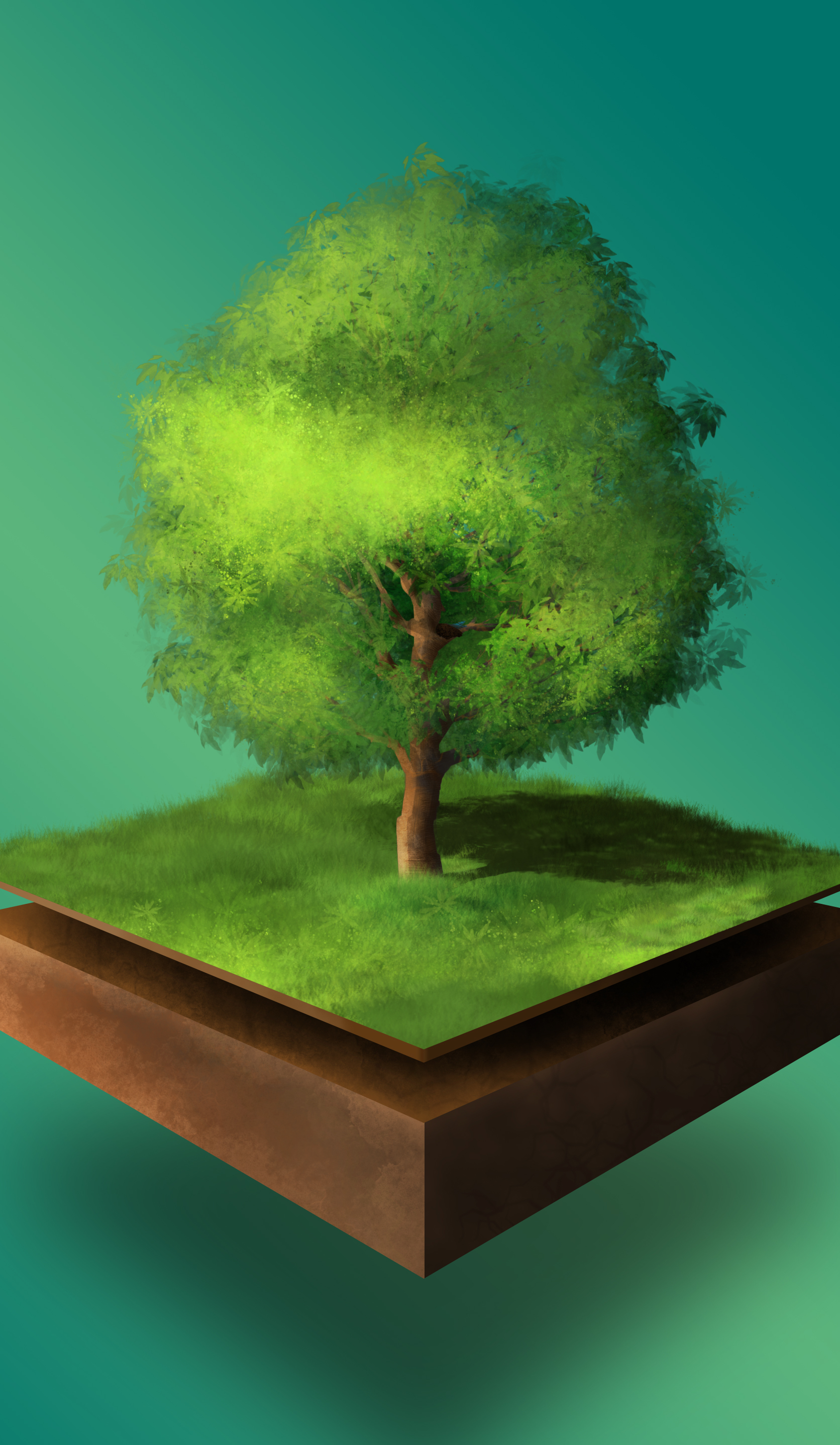 Floating Tree - 2018